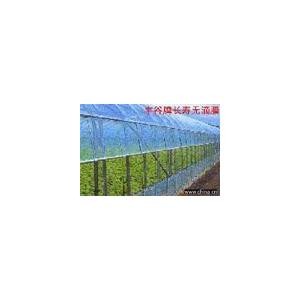 供应大棚膜|河北大棚膜|盛硕大棚膜
